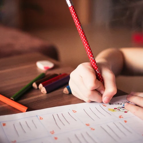 Jak wygląda edukacja domowa w Polsce?